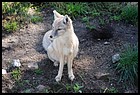 27_zookri_01012006.JPG