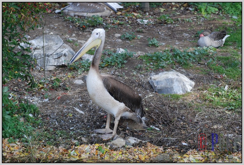 60_ZOO_211021.JPG
