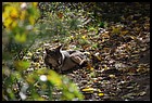 03_ZOO_211021.JPG