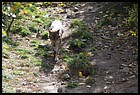 04_ZOO_211021.JPG