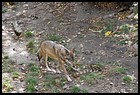 07_ZOO_211021.JPG