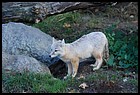 20_ZOO_211021.JPG