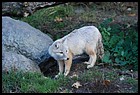 21_ZOO_211021.JPG