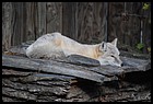 26_ZOO_211021.JPG