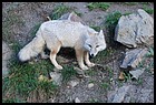 27_ZOO_211021.JPG