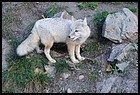 28_ZOO_211021.JPG