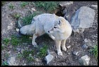 32_ZOO_211021.JPG