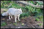 35_ZOO_211021.JPG