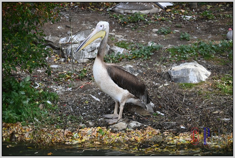 55ZOO_21102021.JPG