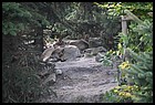 01ZOO_21102021.JPG