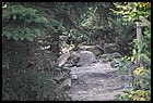 02ZOO_21102021.JPG