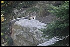 03ZOO_21102021.JPG