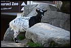 07ZOO_21102021.JPG
