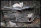 14ZOO_21102021.JPG