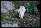 21ZOO_21102021.JPG