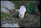 22ZOO_21102021.JPG