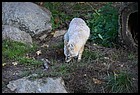 23ZOO_21102021.JPG