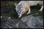 29ZOO_21102021.JPG