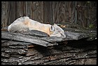 30ZOO_21102021.JPG