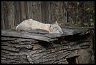 36ZOO_21102021.JPG