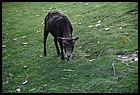 39ZOO_21102021.JPG