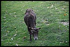 41ZOO_21102021.JPG