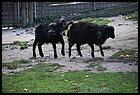 44ZOO_21102021.JPG