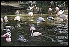 53ZOO_21102021.JPG