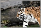 01_zoo_16112021].JPG