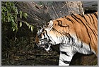 03_zoo_16112021].JPG