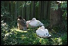 28_DSC_0131_01012006.JPG