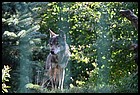 25_DSC_4798_08092021.JPG