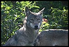 38_DSC_4852_08092021.JPG