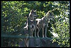 48_DSC_4888_08092021.JPG