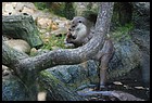 02_ZOOK_07012006.JPG