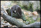 04_ZOOK_07012006.JPG