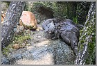 005_ZOO_14092021.JPG