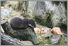 009_ZOO_14092021.JPG