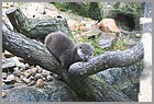 013_ZOO_14092021.JPG