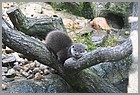 015_ZOO_14092021.JPG