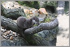 017_ZOO_14092021.JPG