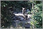 022_ZOO_14092021.JPG