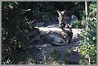 027_ZOO_14092021.JPG