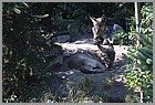 027_ZOO_14092021.JPG