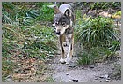 028_ZOO_14092021.JPG