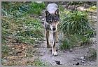 029_ZOO_14092021.JPG