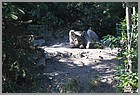 033_ZOO_14092021.JPG