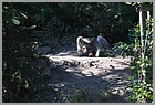 035_ZOO_14092021.JPG