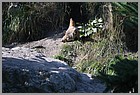 038_ZOO_14092021.JPG