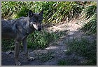 041_ZOO_14092021.JPG